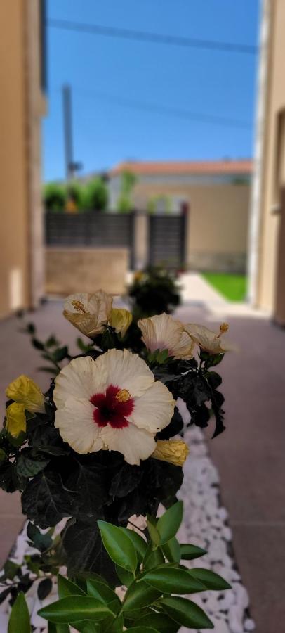 Splendid Villas And Family Resort Kalamitsi Amygdali ภายนอก รูปภาพ